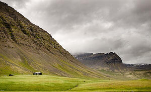 DSC 5690
