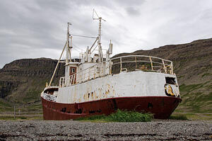 DSC 5704