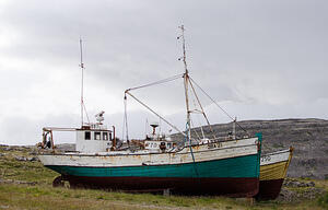 DSC 5715