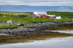 DSC 5824