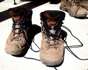 IMG 5497