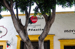 DSC 4877