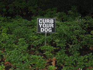 curb your dog