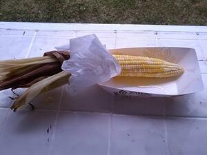 IMG 20140729 131554
