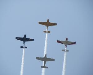 IMG 3355