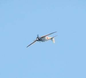 IMG 3548