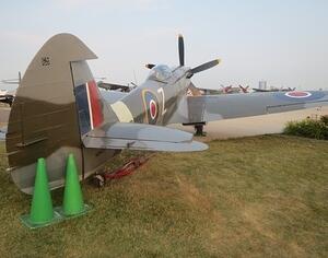 IMG 3579