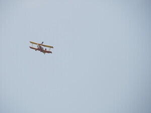 IMG 3668