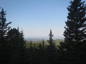 IMG 1946