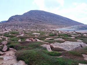 IMG 20130816 120154