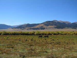 IMG_0023