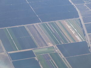 IMG 4127