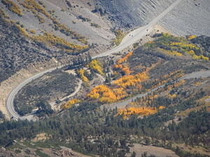 IMG 4161
