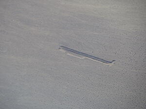 IMG 4181