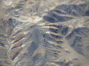 IMG 4186