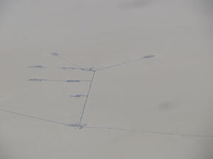IMG 4193