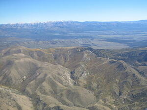 IMG 4206