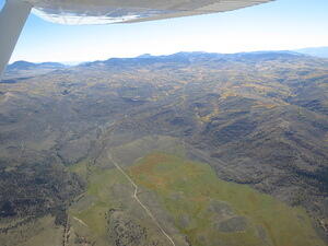 IMG 4216