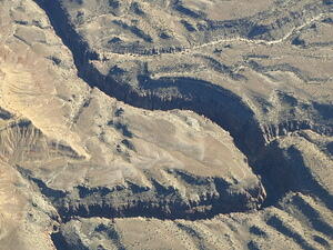 IMG 4244