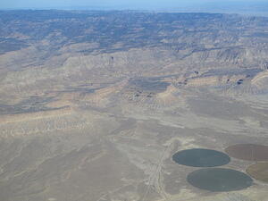 IMG 4254