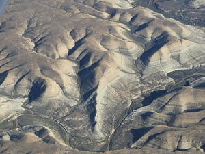 IMG 4286