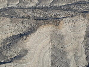 IMG 4294
