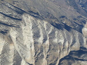 IMG 4296