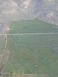 IMG 4321