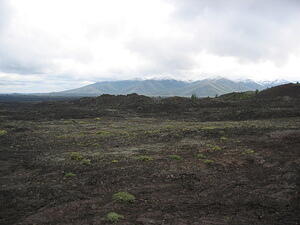 img_0100.jpg