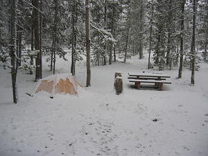 img_0115.jpg