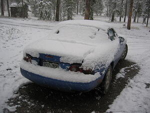 img_0116.jpg