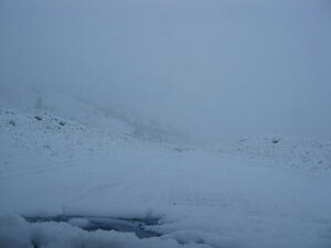 img_0117.jpg