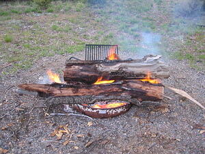 Manly Fire
