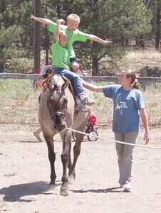 vaulting