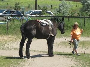 IMG 5593