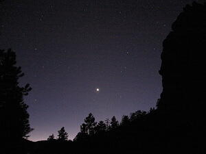 Venus