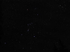 Orion