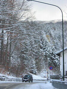Snowy Road