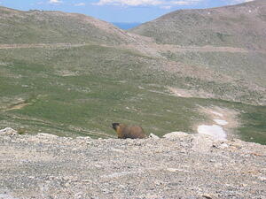 IMG_0017.JPG