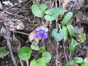 img_0038.jpg