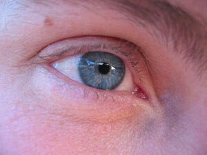img_0063.jpg
