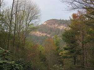 img_0093.jpg