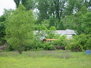 School Bus: Cairo, Illinois