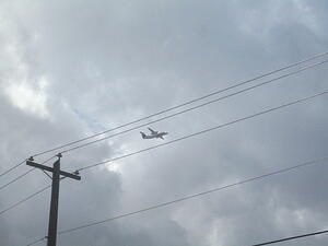 IMG_0006.JPG