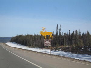 IMG_0012.JPG