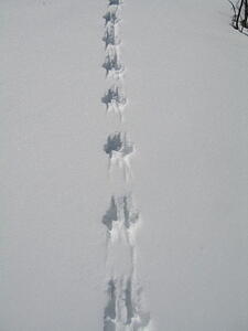 IMG_0016.jpg