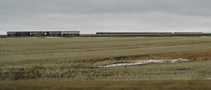 Cattle Cars