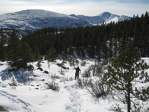 IMG_0019.JPG