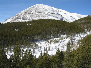 IMG_0021.JPG