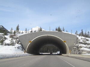 Wildlife Crossing Detail